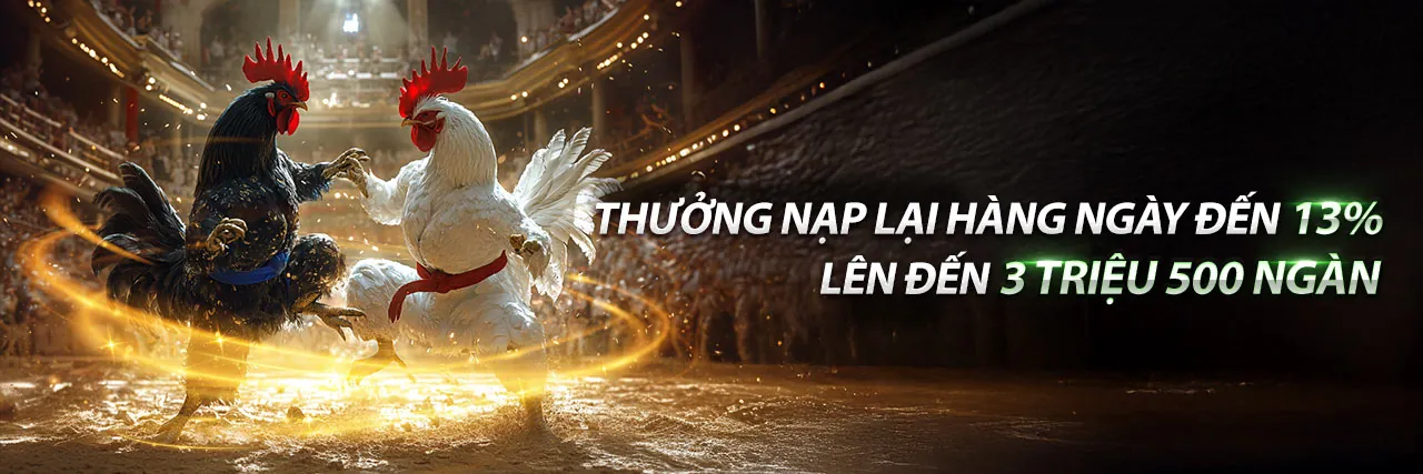 Đá Gà Trực Tuyến Sôi Động Tại PK88VN